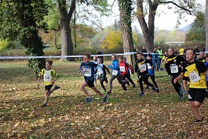 Stadtparklauf in Sondershausen (2)