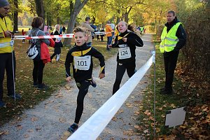 Stadtparklauf in Sondershausen (2)