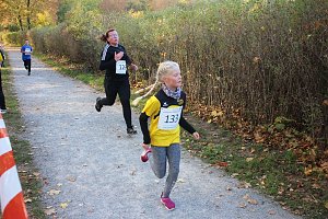 Stadtparklauf in Sondershausen (2)