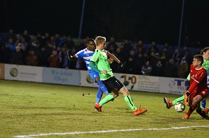 4:0 siegt Wacker gegen Fürstenwalde