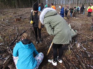 Aktion im Mühlhäuser Stadtwald