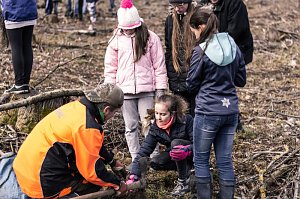 Aktion im Mühlhäuser Stadtwald