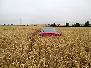 Kein Bett im Kornfeld