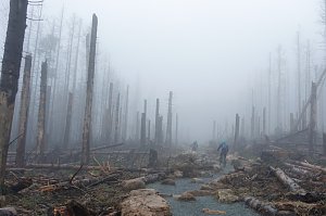 Heiligabend noch schnell auf den Brocken (2019)
