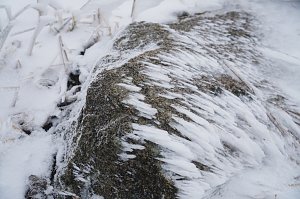 Heiligabend noch schnell auf den Brocken (2019)