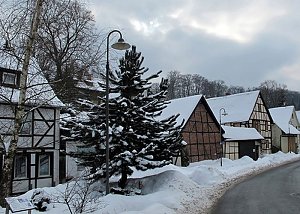 Wintergr&uuml;&szlig;e