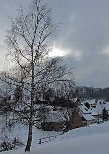 Wintergr&uuml;&szlig;e