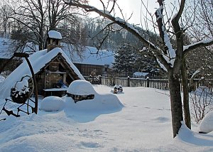Wintergr&uuml;&szlig;e