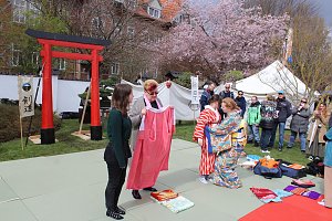 Impressionen vom Kirschbl&uuml;tenfest 2022