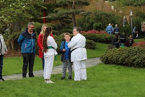 Kodomo No Hi, das Kinderfest, heute Nachmittag im Japanischen Garten