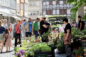 Gr&uuml;nes Innenstadtfest Bad Langensalza