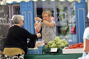 Gr&uuml;nes Innenstadtfest Bad Langensalza
