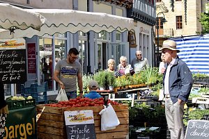 Gr&uuml;nes Innenstadtfest Bad Langensalza
