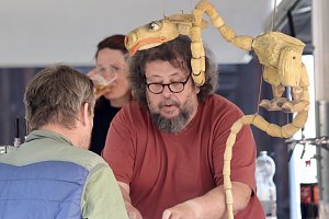 Innenstadtfest in Bad Langensalza
