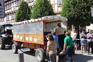 Impressionen vom Festumzug 