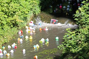 Am Start und an der Strecke des Entenrennens 2022