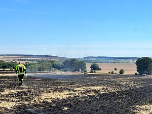 Feldbrand Bein Obermehler