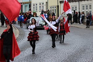 Fr&ouml;hlichbunter Karnevalsumzug in und um Bad Langensalza
