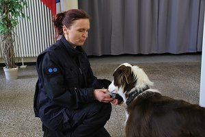 Besuch bei der Nordh&auml;user Hundestaffel