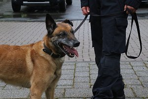 Besuch bei der Nordh&auml;user Hundestaffel