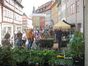 Gr&uuml;nes Innenstadtfest in Bad Langensalza
