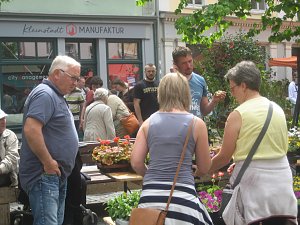 Gr&uuml;nes Innenstadtfest in Bad Langensalza
