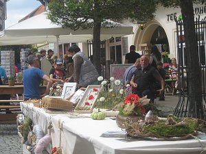 Gr&uuml;nes Innenstadtfest in Bad Langensalza