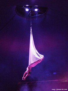 Der Circus kommt