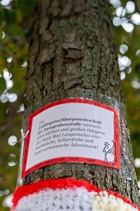 "Verflixt & Zugebommelt!" in der Bad Langensalzaer Innenstadt