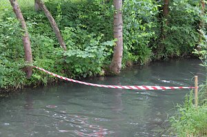 Beim Zieleinlauf im Riedgraben