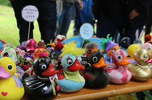 Beim Zieleinlauf im Riedgraben
