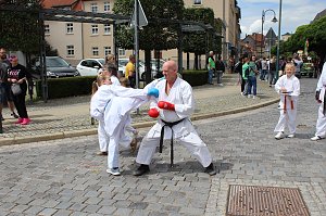 Farbenfroher Festumzug zum 211. Brunnenfest in Bad Langensalza