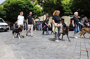 Farbenfroher Festumzug zum 211. Brunnenfest in Bad Langensalza