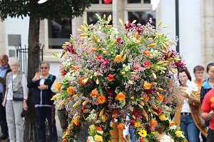 211. Brunnenfestumzug in Bad Langensalza mit vielen fr&ouml;hlichen Akteuren