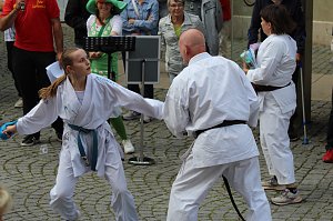 Teilnehmerinnen und Teilnehmer des Festumzuges zum 211. Brunnenfest in Bad Langensalza 