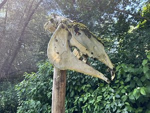 Germanenfest im Opfermoor