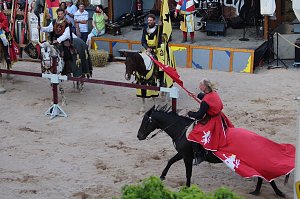 Hochprofessionelle Reitershow mit "Wenzel Ritterspiele"