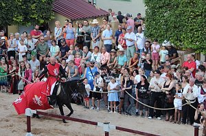 Hochprofessionelle Reitershow mit "Wenzel Ritterspiele"