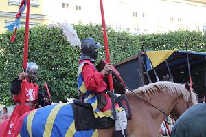 Hochprofessionelle Reitershow mit "Wenzel Ritterspiele"