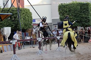 Hochprofessionelle Reitershow mit "Wenzel Ritterspiele"