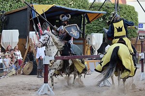 Hochprofessionelle Reitershow mit "Wenzel Ritterspiele"