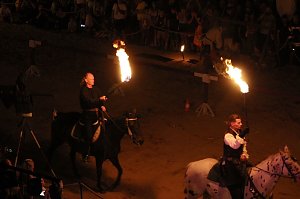Hochprofessionelle Reitershow mit "Wenzel Ritterspiele"