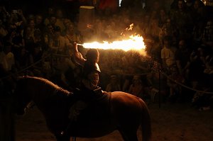 Hochprofessionelle Reitershow mit "Wenzel Ritterspiele"