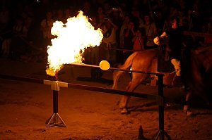 Hochprofessionelle Reitershow mit "Wenzel Ritterspiele"