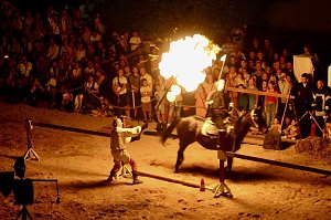 Hochprofessionelle Reitershow mit "Wenzel Ritterspiele"