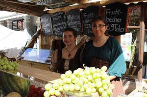 30. Mittelalterfest in Bad Langensalza