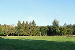Peter Blei beim Waldspaziergang