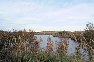 Sonntagswanderung an der Hassel-Vorsperre
