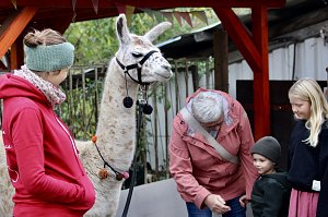 Unterwegs mit den Unstrut Lamas aus Herbsleben