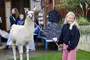 Unterwegs mit den Unstrut Lamas aus Herbsleben